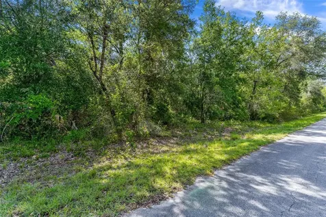SW Shasta Court Dunnellon FL 34431