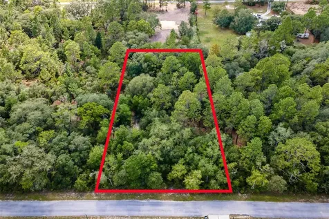 SW Shasta Court Dunnellon FL 34431
