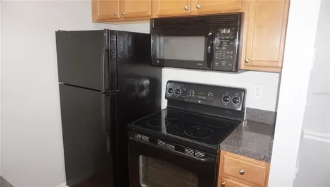 220 Lake Parsons Green Brandon FL 33511