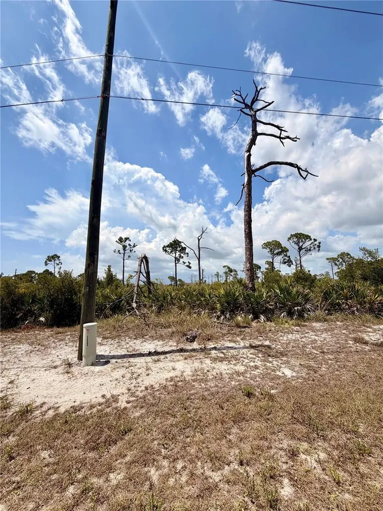 6 Harness Road Placida FL 33946