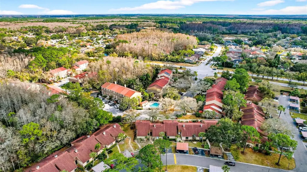 3409 Hill Moor Drive Palm Harbor FL 34685