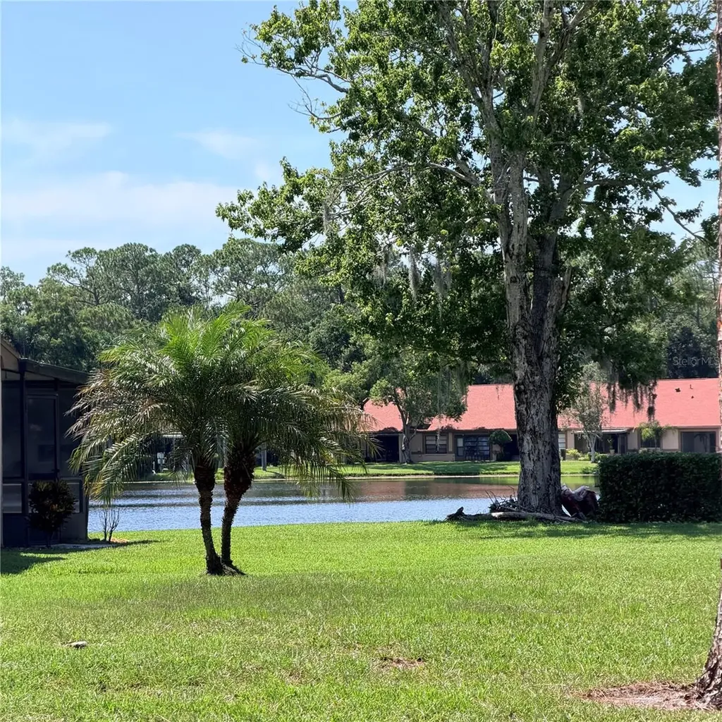 3409 Hill Moor Drive Palm Harbor FL 34685