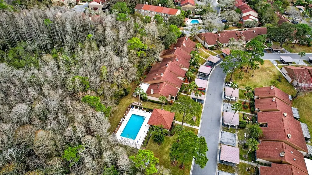 3409 Hill Moor Drive Palm Harbor FL 34685