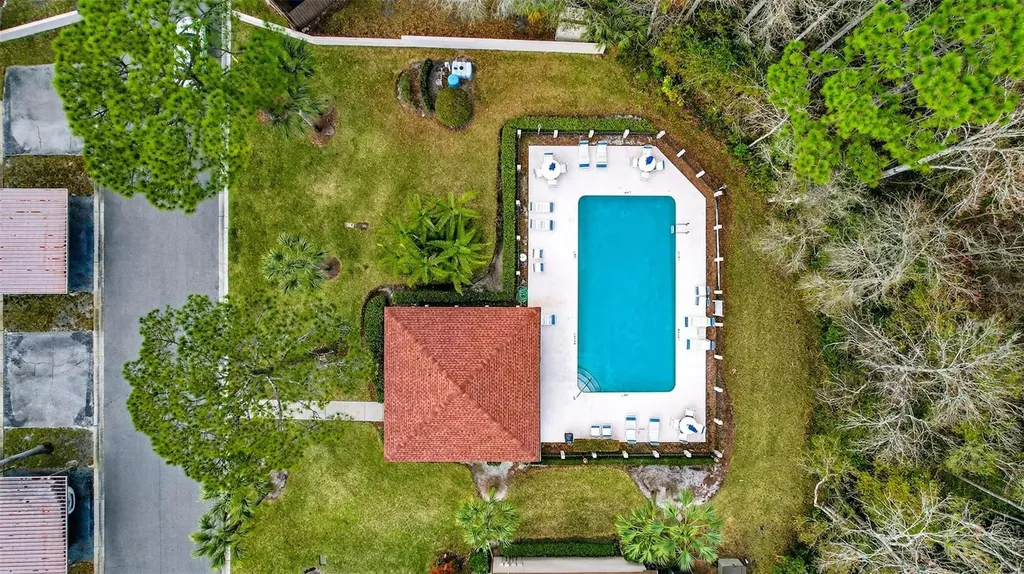 3409 Hill Moor Drive Palm Harbor FL 34685