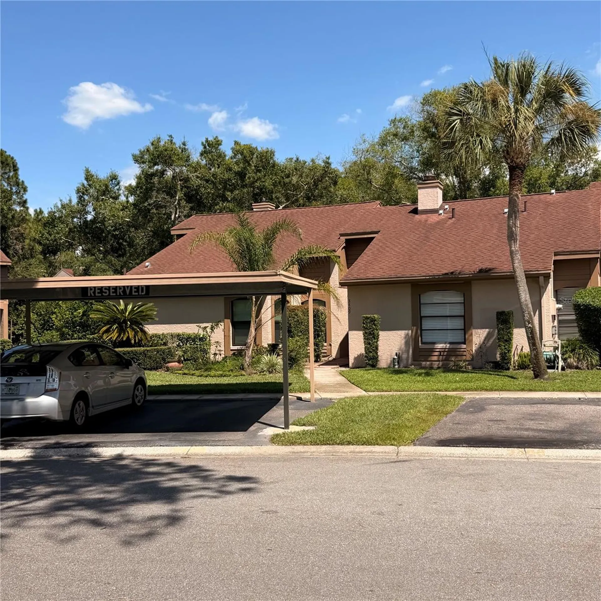 3409 Hill Moor Drive Palm Harbor FL 34685