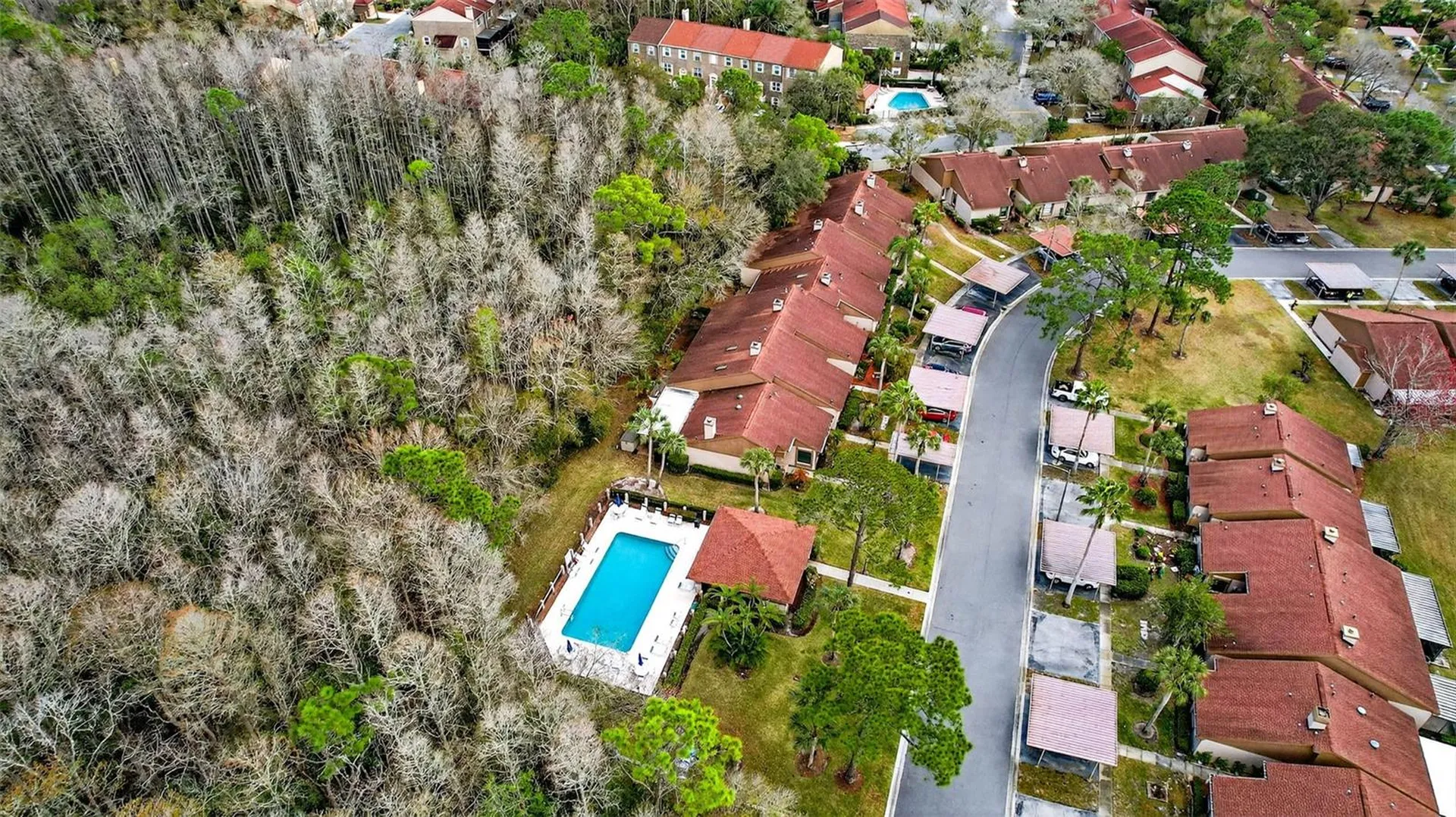 3409 Hill Moor Drive Palm Harbor FL 34685