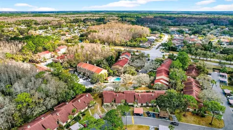 3409 Hill Moor Drive Palm Harbor FL 34685