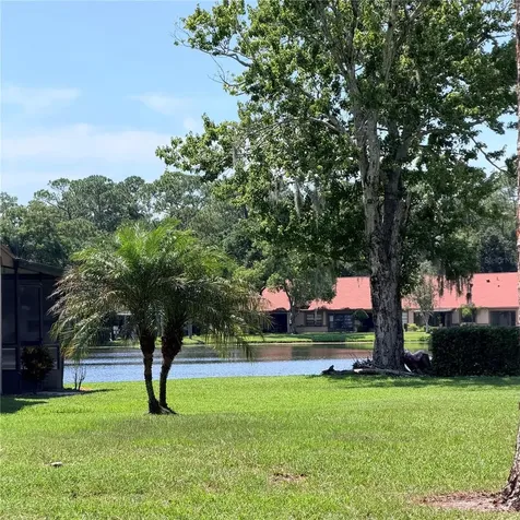 3409 Hill Moor Drive Palm Harbor FL 34685