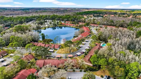 3409 Hill Moor Drive Palm Harbor FL 34685