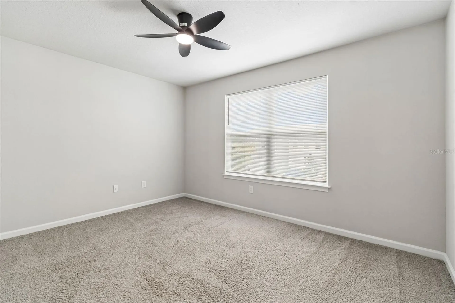 4286 Cloud Hopper Way Lutz FL 33559