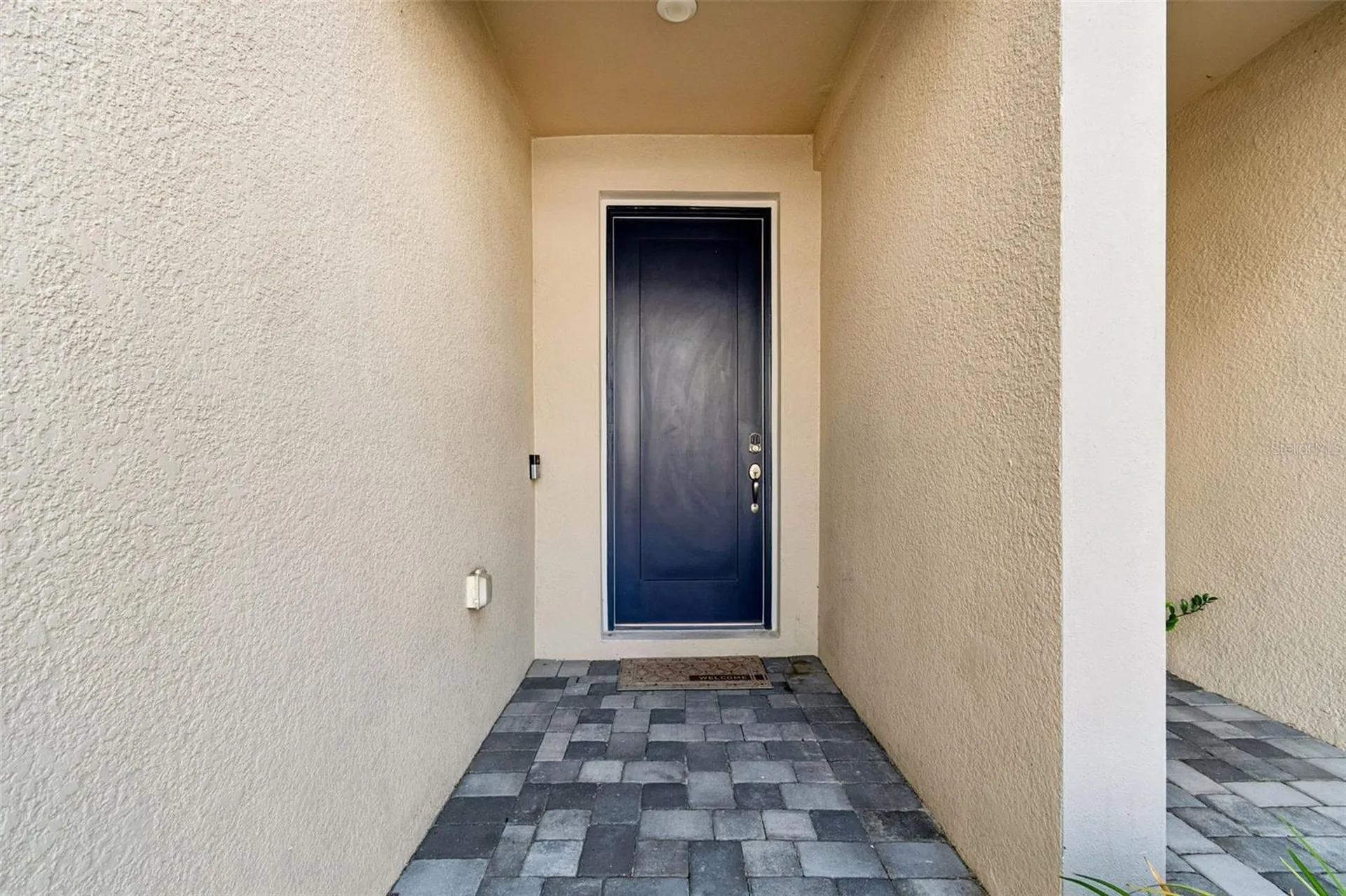 4286 Cloud Hopper Way Lutz FL 33559
