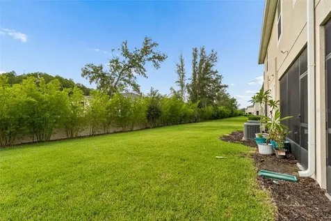 4286 Cloud Hopper Way Lutz FL 33559