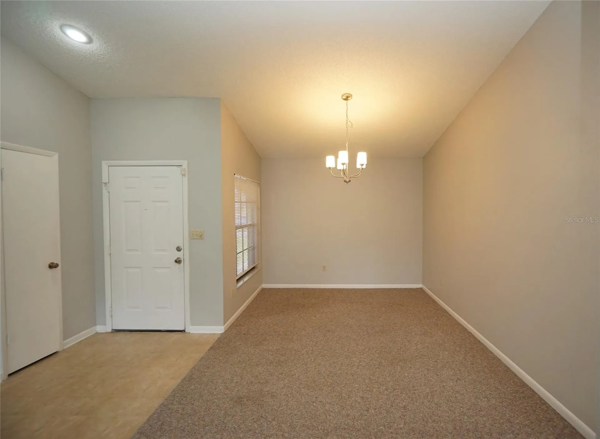8755 Hampden Drive Tampa FL 33626