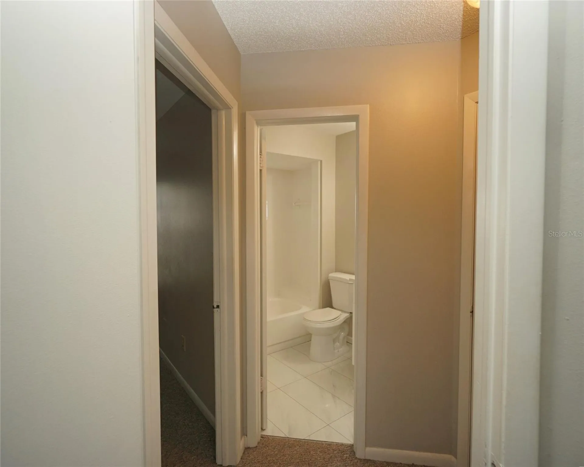 8755 Hampden Drive Tampa FL 33626