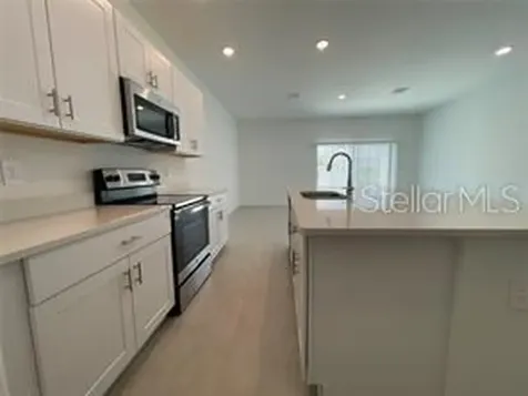 1309 Axel Graeson Avenue Kissimmee FL 34744