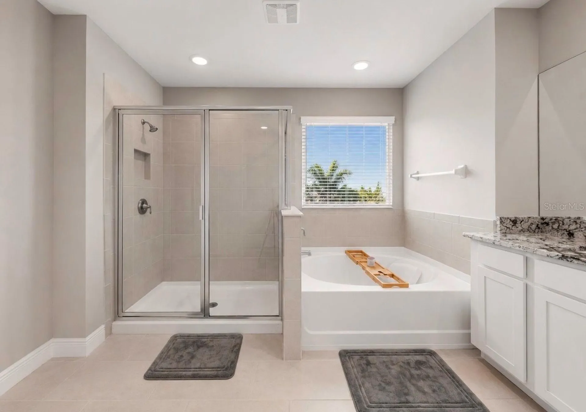 172 Mangrove Manor Drive Apollo Beach FL 33572