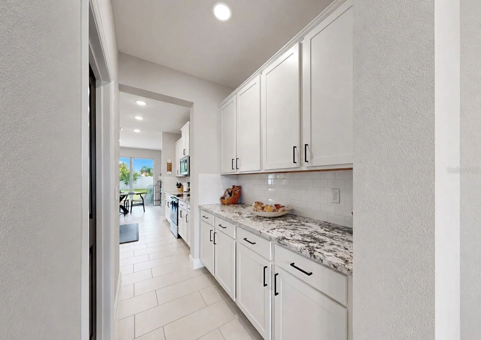 172 Mangrove Manor Drive Apollo Beach FL 33572
