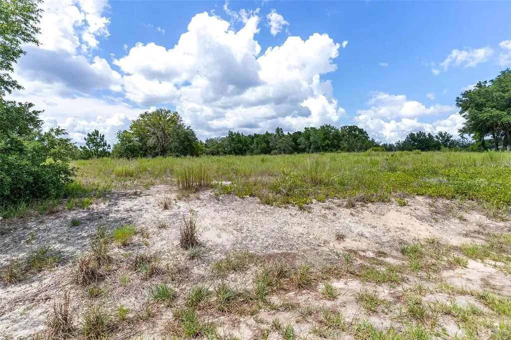 SW Zephyr Hill Court Dunnellon FL 34431