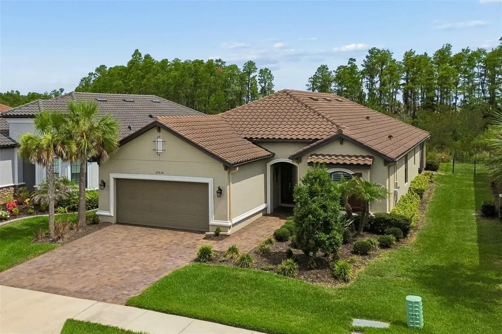 29534 Ginnetto Drive Wesley Chapel FL 33543
