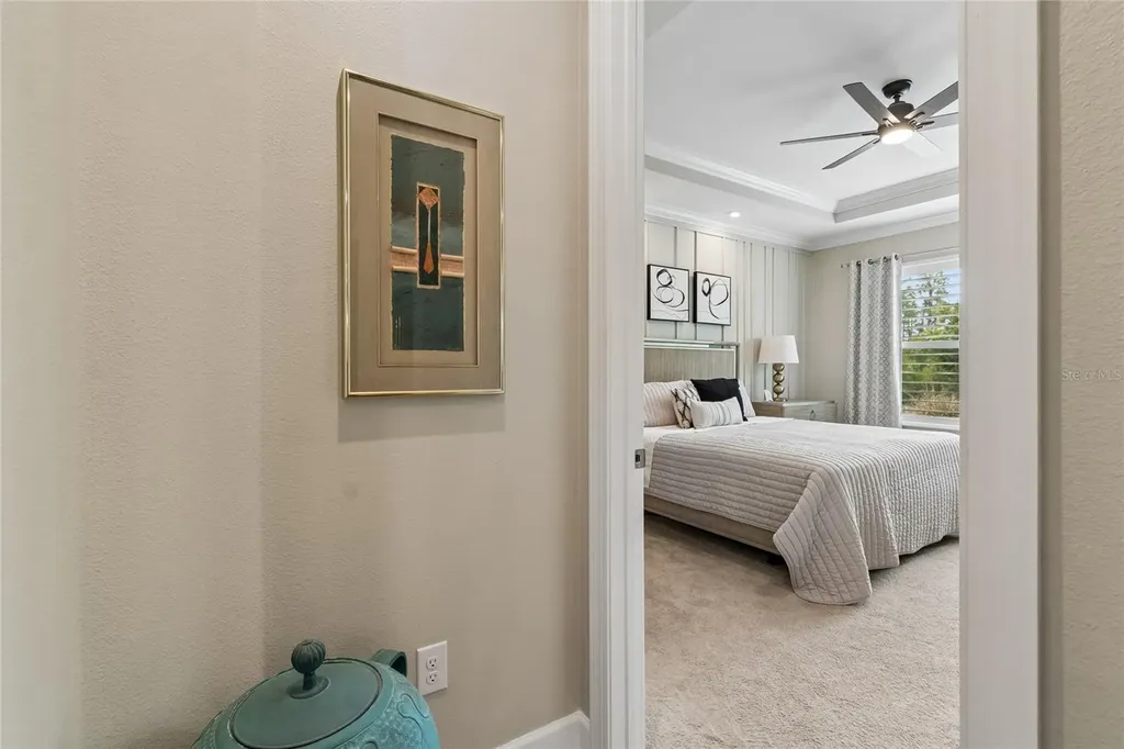 29534 Ginnetto Drive Wesley Chapel FL 33543