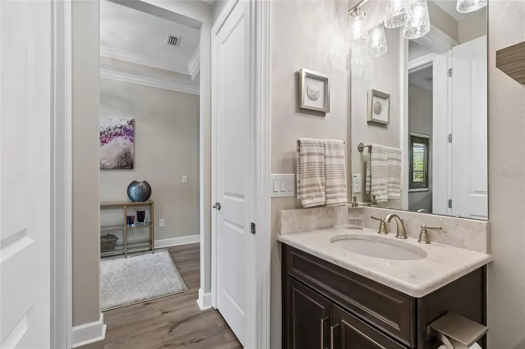 29534 Ginnetto Drive Wesley Chapel FL 33543