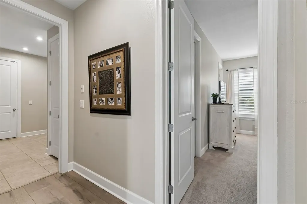 29534 Ginnetto Drive Wesley Chapel FL 33543