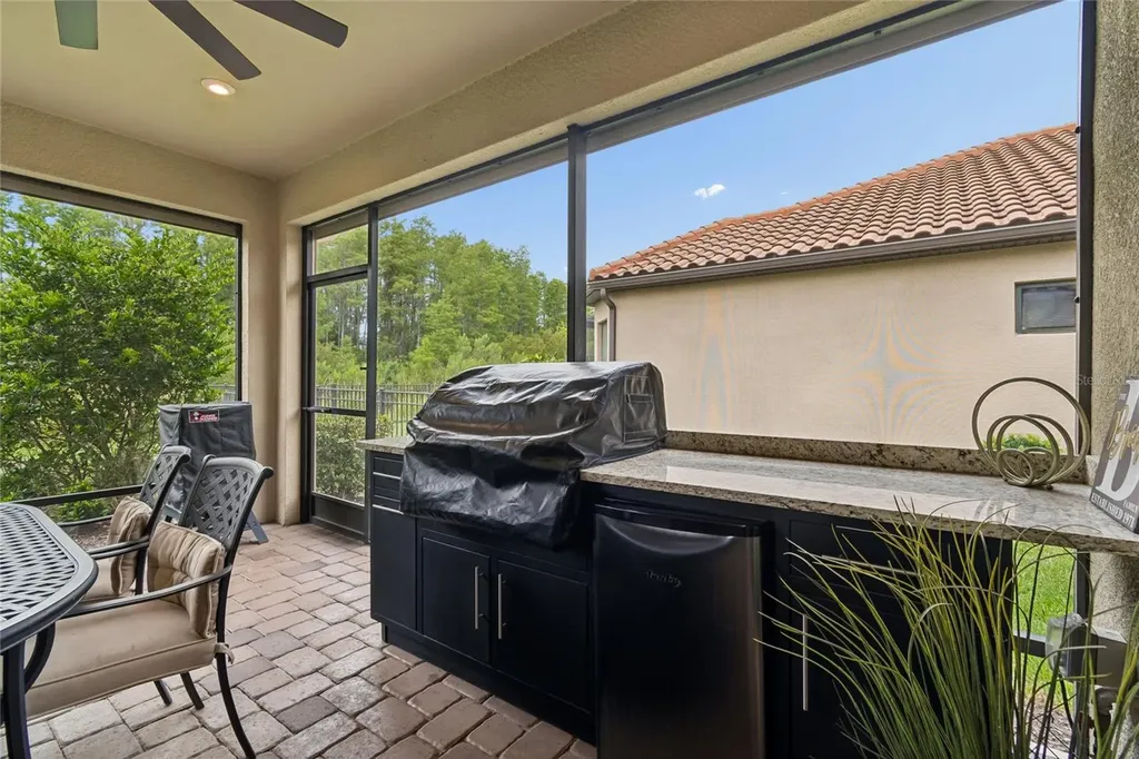 29534 Ginnetto Drive Wesley Chapel FL 33543