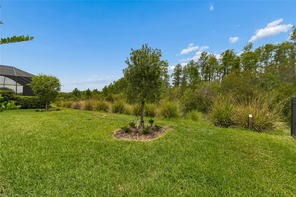 29534 Ginnetto Drive Wesley Chapel FL 33543