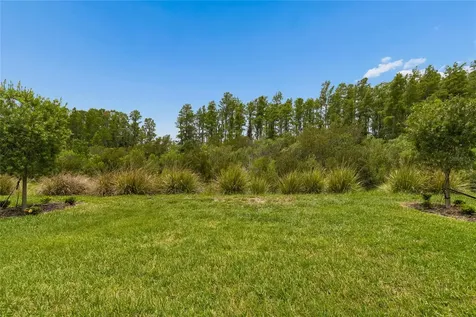 29534 Ginnetto Drive Wesley Chapel FL 33543