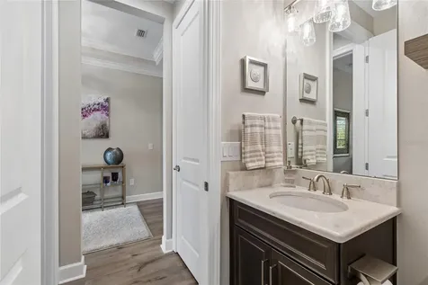 29534 Ginnetto Drive Wesley Chapel FL 33543