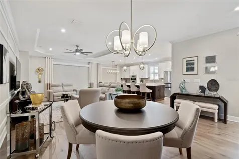 29534 Ginnetto Drive Wesley Chapel FL 33543
