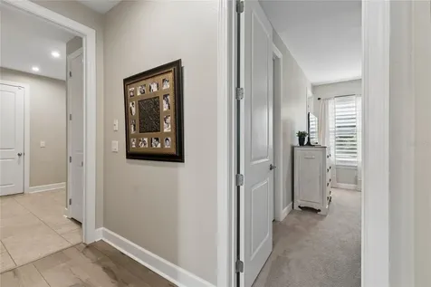 29534 Ginnetto Drive Wesley Chapel FL 33543