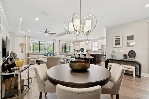 29534 Ginnetto Drive Wesley Chapel FL 33543