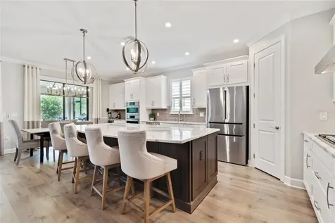 29534 Ginnetto Drive Wesley Chapel FL 33543