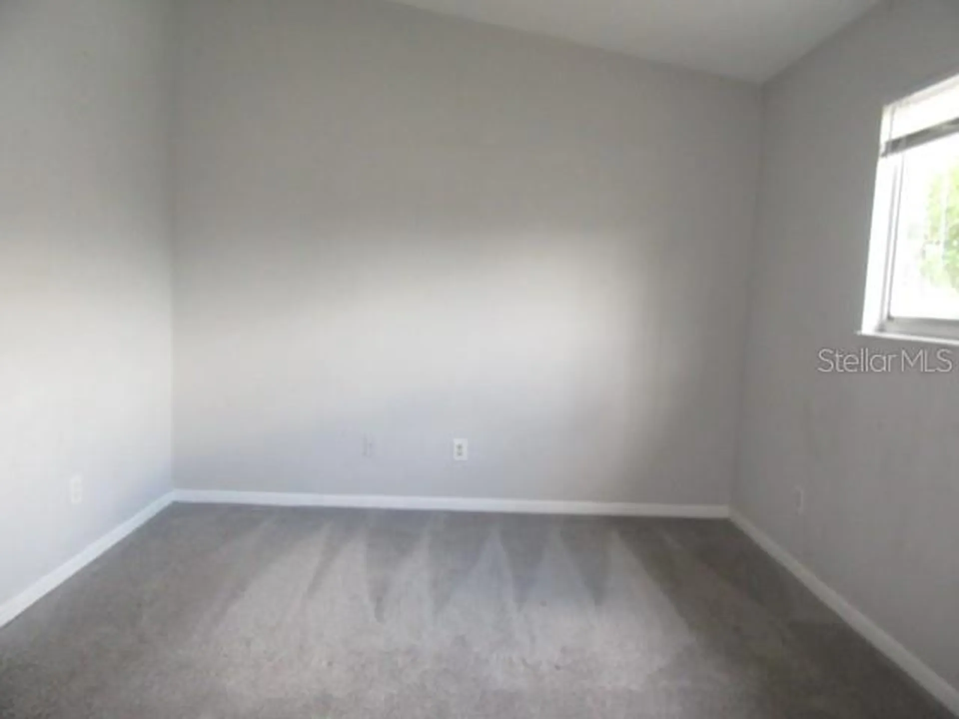 13054 N 20th Street Tampa FL 33612