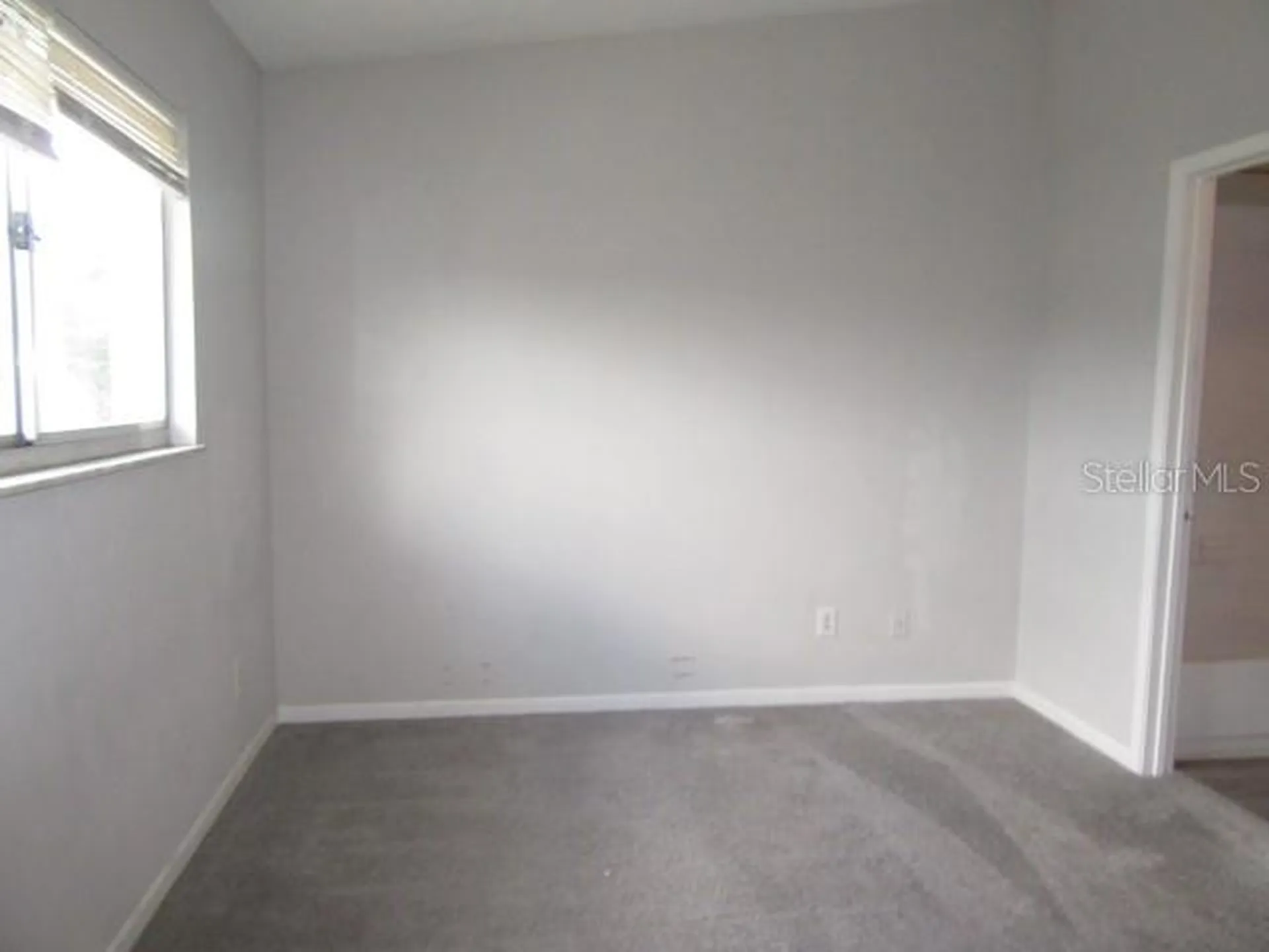 13054 N 20th Street Tampa FL 33612