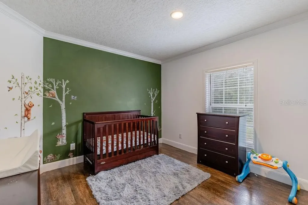 24821 Old Deer Road Paisley FL 32767