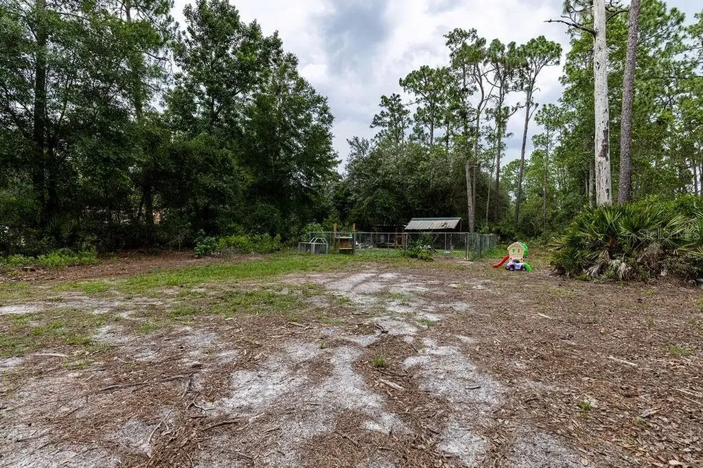 24821 Old Deer Road Paisley FL 32767