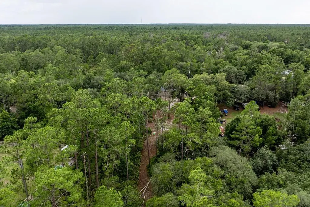 24821 Old Deer Road Paisley FL 32767