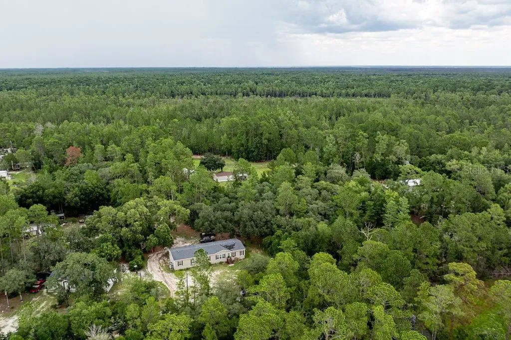24821 Old Deer Road Paisley FL 32767