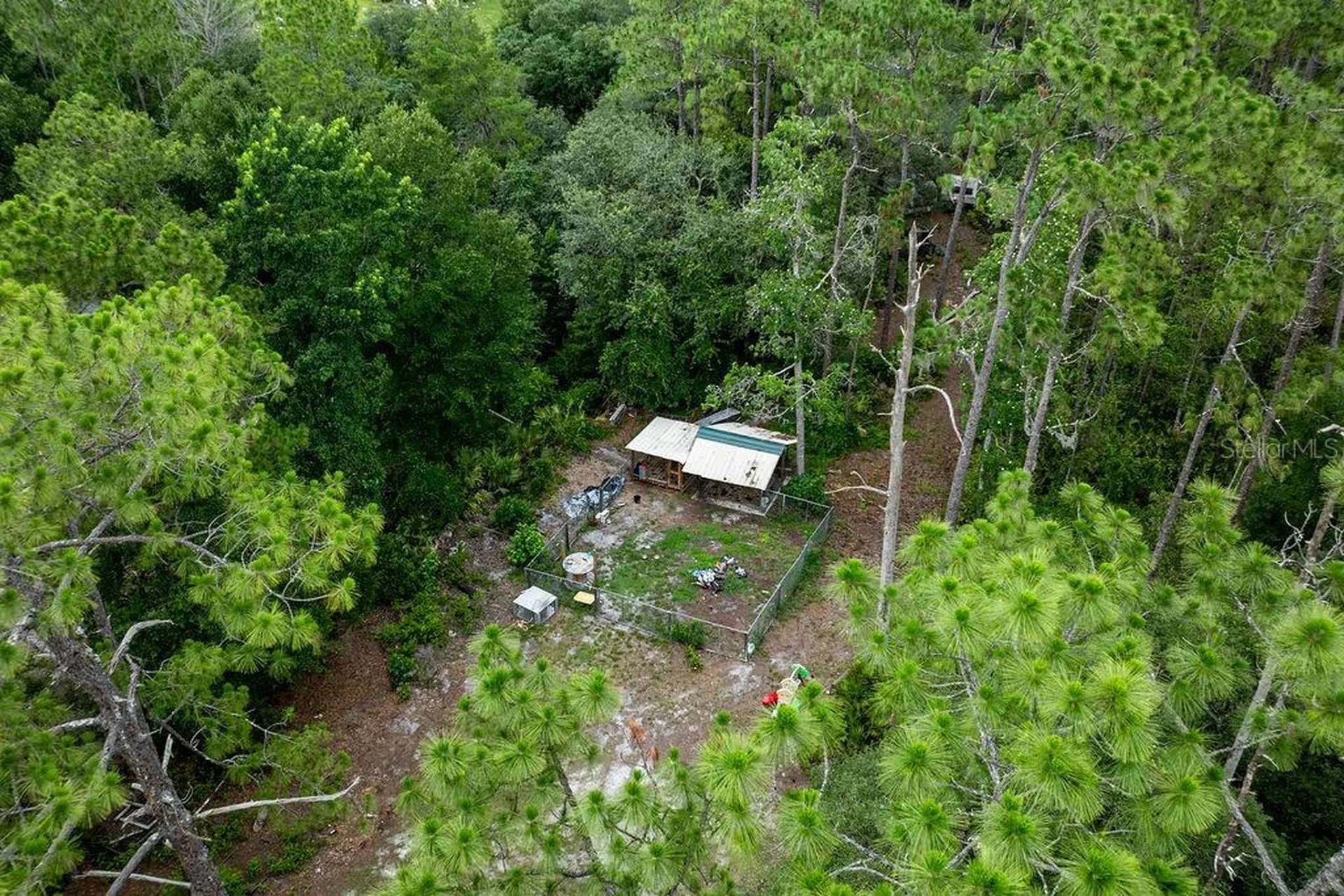 24821 Old Deer Road Paisley FL 32767