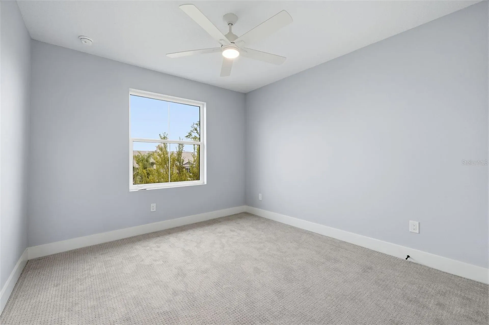 4208 W Carmen Street Tampa FL 33609