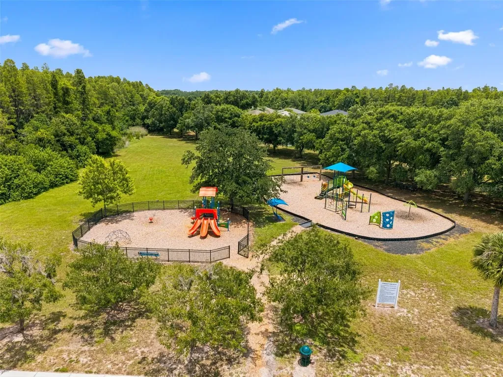 1120 Maza Place Trinity FL 34655