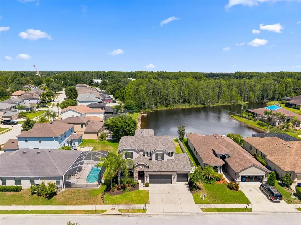 1120 Maza Place Trinity FL 34655