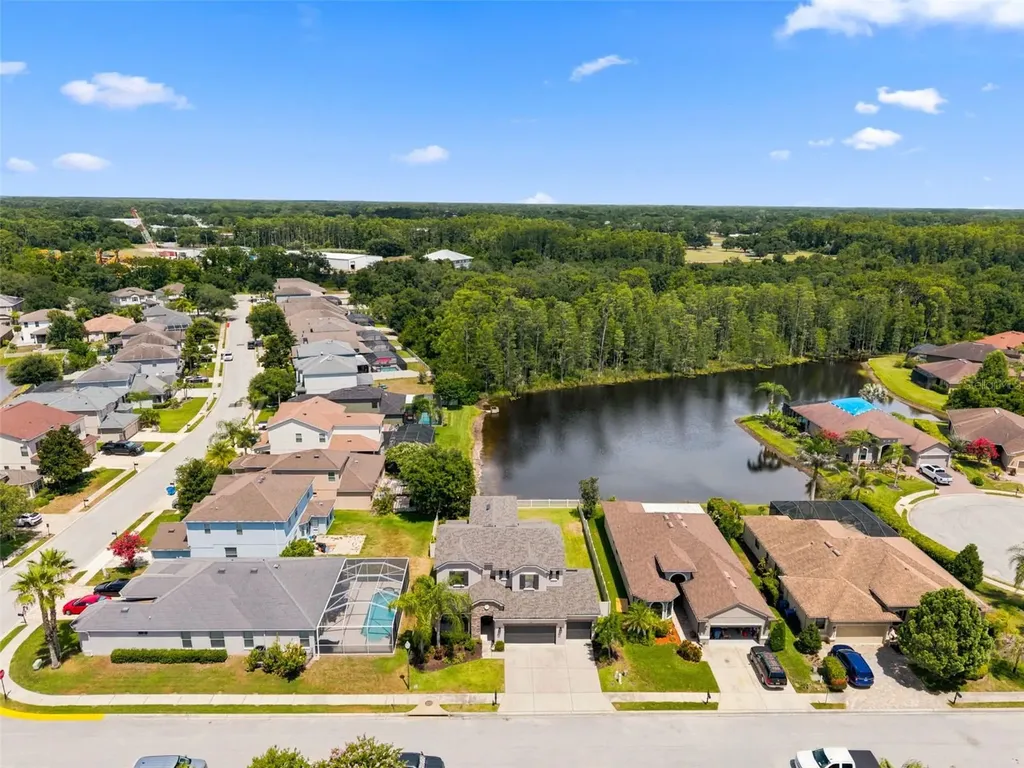 1120 Maza Place Trinity FL 34655