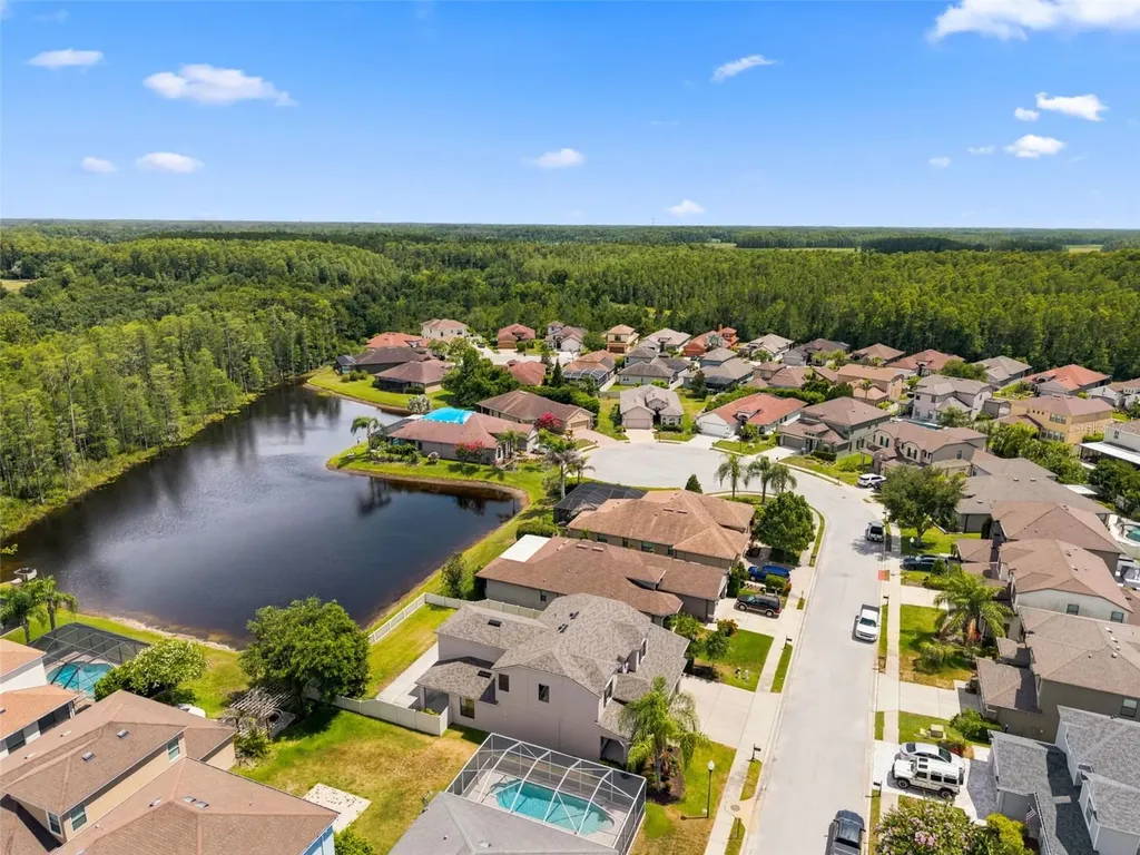 1120 Maza Place Trinity FL 34655