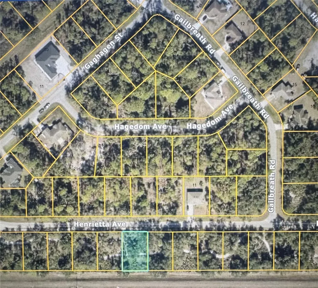 Henrietta Avenue North Port FL 34291
