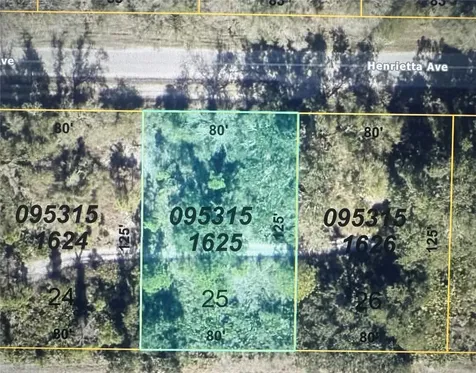 Henrietta Avenue North Port FL 34291