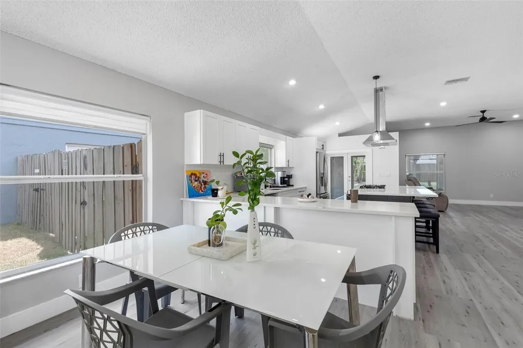 1534 Scotch Pine Drive Brandon FL 33511