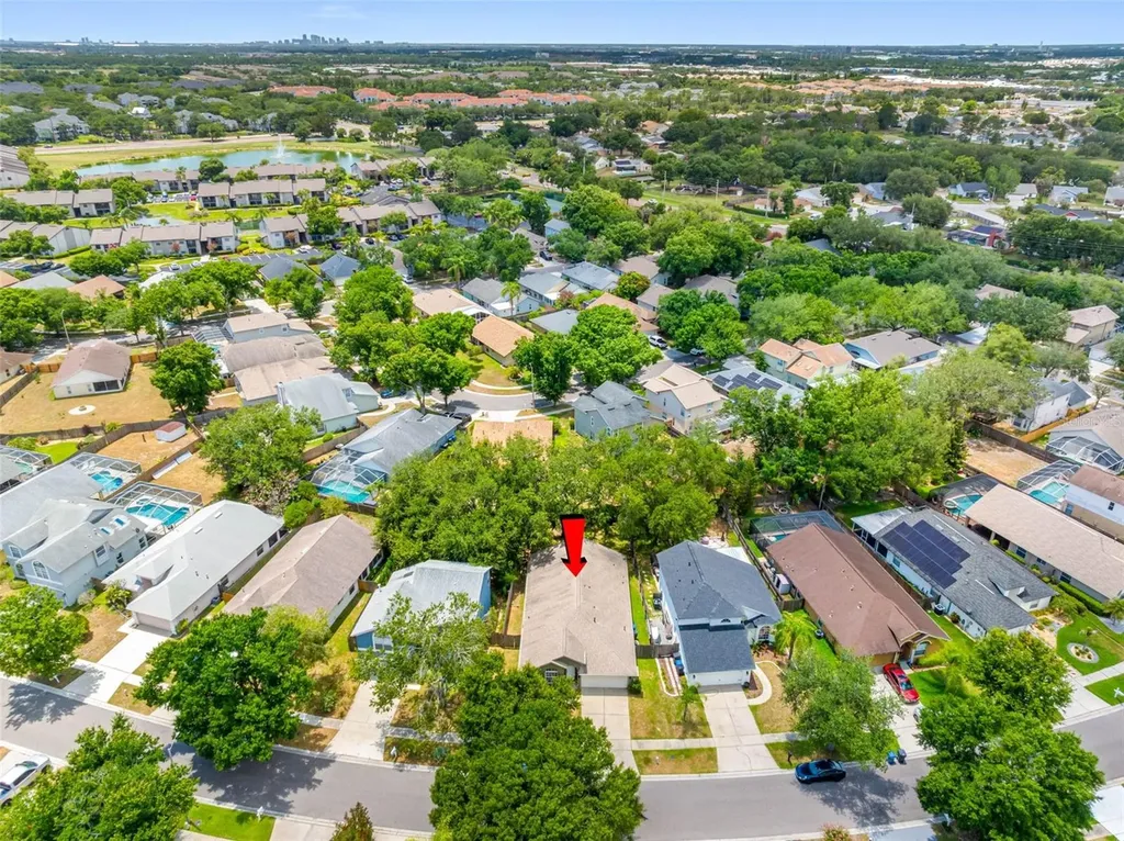 1534 Scotch Pine Drive Brandon FL 33511